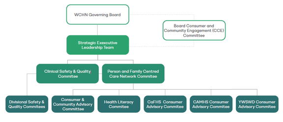 Consumer Engagement Governance Structure